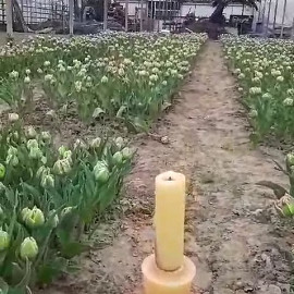Bezinnend beginnen